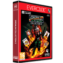 Cartucho Evercade Gremlin Collection 2