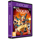 Cartucho Evercade NEOGEO Arcade 1