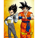 Póster 3D Dragon Ball SuperGoku & Vegeta