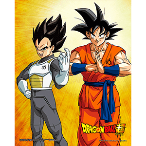 Póster 3D Dragon Ball SuperGoku & Vegeta