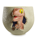 Bowl 3D Jurassic Park