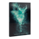 Cuaderno lenticular A5 Harry Potter