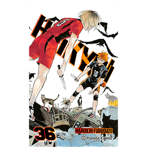 Haikyû!! nº 36/45