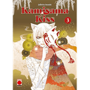 Kamisama Kiss 3