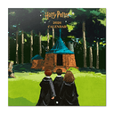 Calendario 2026 Harry Potter 30x30 cm (REACONDICIONADO)