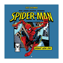 Calendario 2027 Marvel Spiderman Brand New Day 30x30 cm