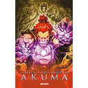 Street Fighter Origenes - Akuma