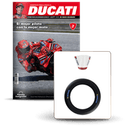 Coleccionable Moto Ducati GP25 Marc Marquez 1:4_N002