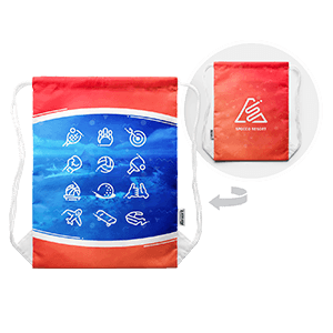Nintendo Switch Sports Resort - Bolsa Exclusivo GAME