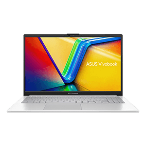 Asus Vivobook Go15 Amd Ryzen 5-40/16Gb/512Gb 15,6" W11 Home Plata - Portátil