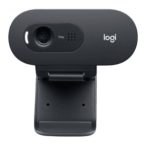 Logitech C505e USB Negro - Webcam