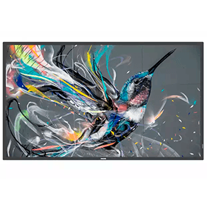 Philips 43BDL3511Q/00 pantalla de señalización Pizarra de caballete digital 109,2 cm (43") 400 cd / m² 4K Ultra HD Negro 18/7