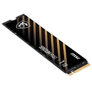 MSI Spatium M461 1TB M2 SSD PCIE3 - Disco Duro