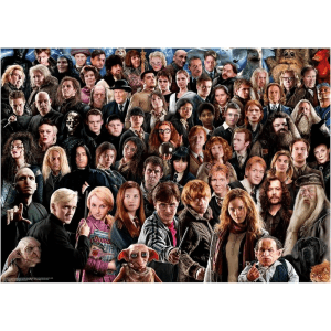 Ravensburger 12000457 puzzle Puzzle rompecabezas 1000 pieza(s) Televisión/películas