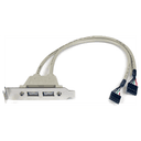 StarTech.com Cabezal Bracket Perfil Bajo de 2 puertos USB 2.0 con conexión a Placa Base 2x IDC5 - Low Profile
