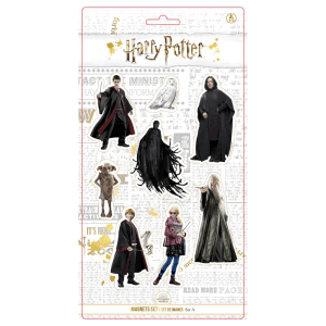 Set 8 imanes Personajes Harry Potter