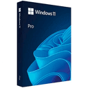 Microsoft Windows 11 Pro 1 licencia