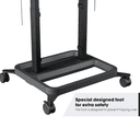 RISE 5205 MOTORIZED DISPLAY
