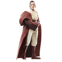 Star Wars The Black Series Jedi Master Indara