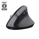 Trust Bayo+ ratón Oficina mano derecha RF Wireless + Bluetooth Óptico 2400 DPI