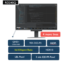 BenQ RD240Q pantalla para PC 61,2 cm (24.1") 2560 x 1600 Pixeles WQXGA LCD Negro