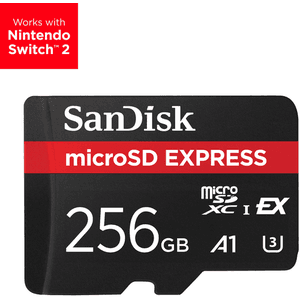 SanDisk Express 256 GB MicroSDXC UHS-I