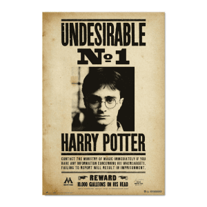 Poster Indeseable Numero 1 Harry Potter
