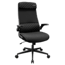 Cougar Silla Stryder Black