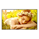 LG 43UL5Q-E pantalla de señalización Pantalla plana para señalización digital 109,2 cm (43") LED Wifi 500 cd / m² 4K Ultra HD Ne