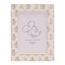 Marco fotos Mickey Minnie Disney
