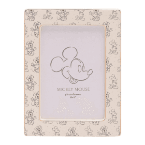 Marco fotos Mickey Minnie Disney