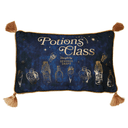 Cojin velvet Potions Class Harry Potter