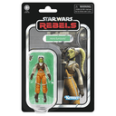 Star Wars G35405L00 figura de juguete para niños
