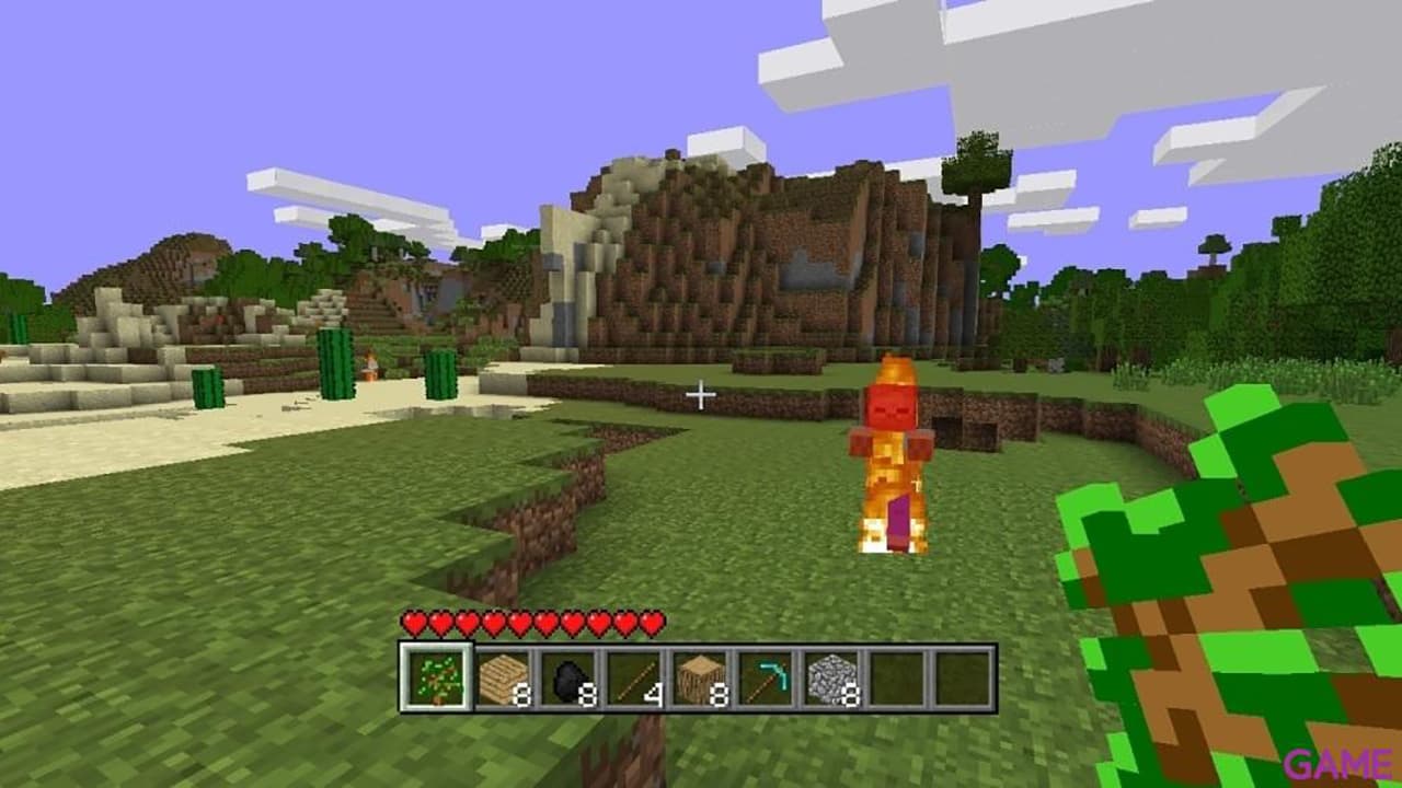 Minecraft