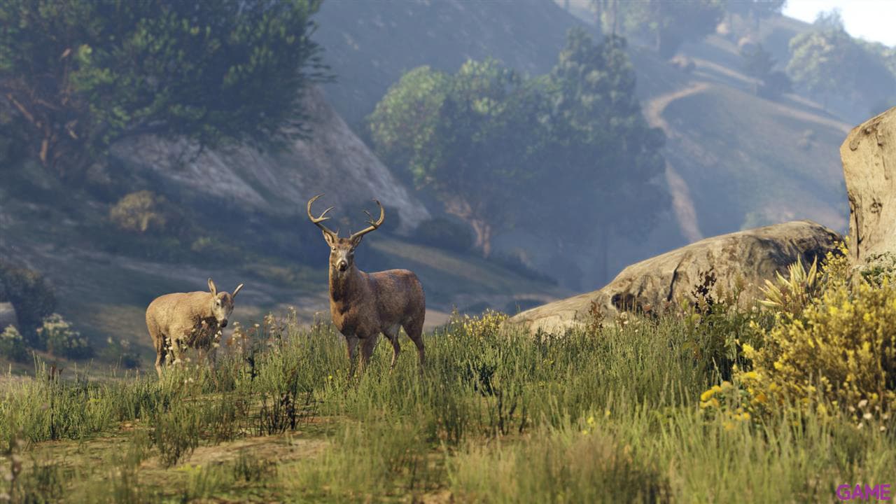 Grand Theft Auto V