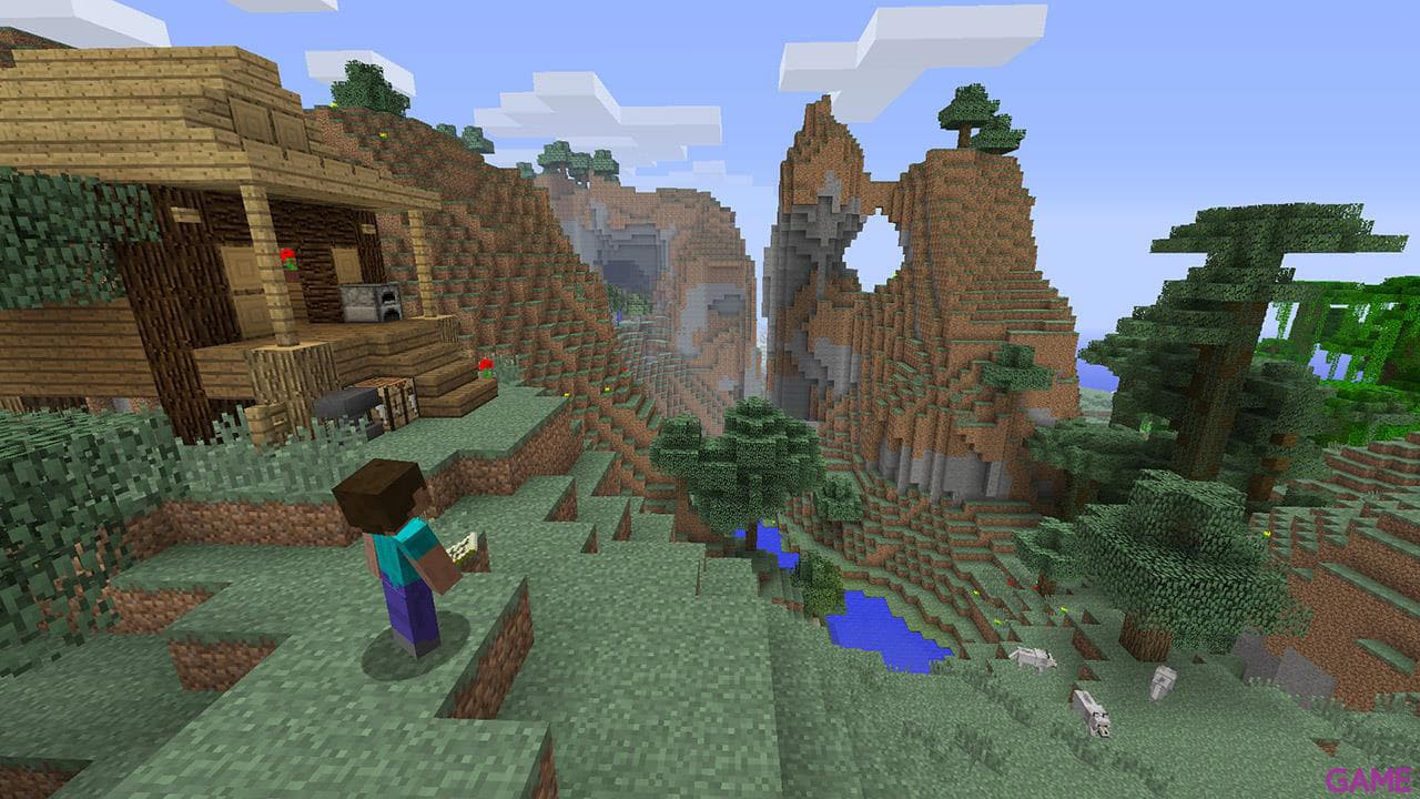 Minecraft