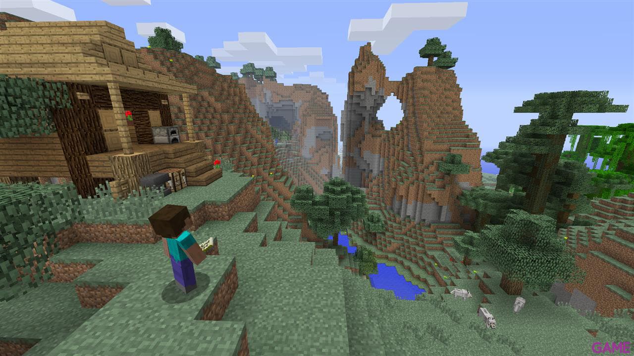 Minecraft