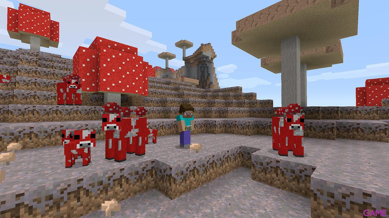 Minecraft