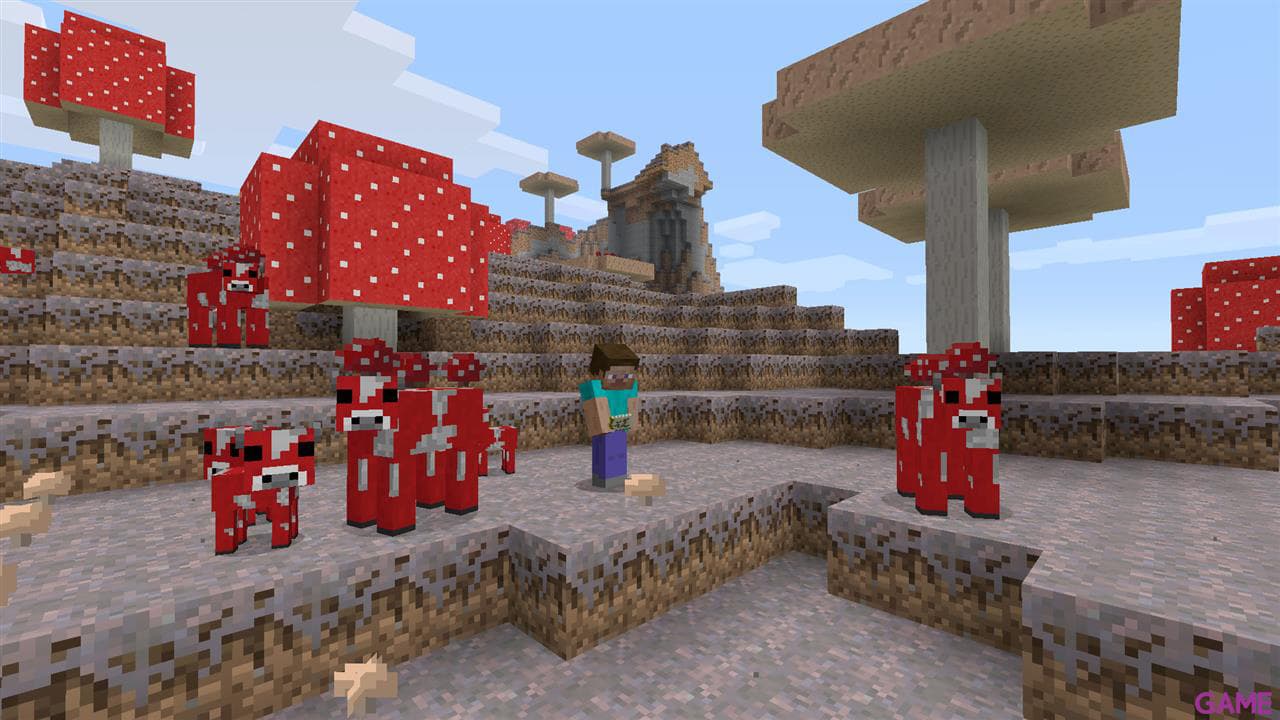 Minecraft