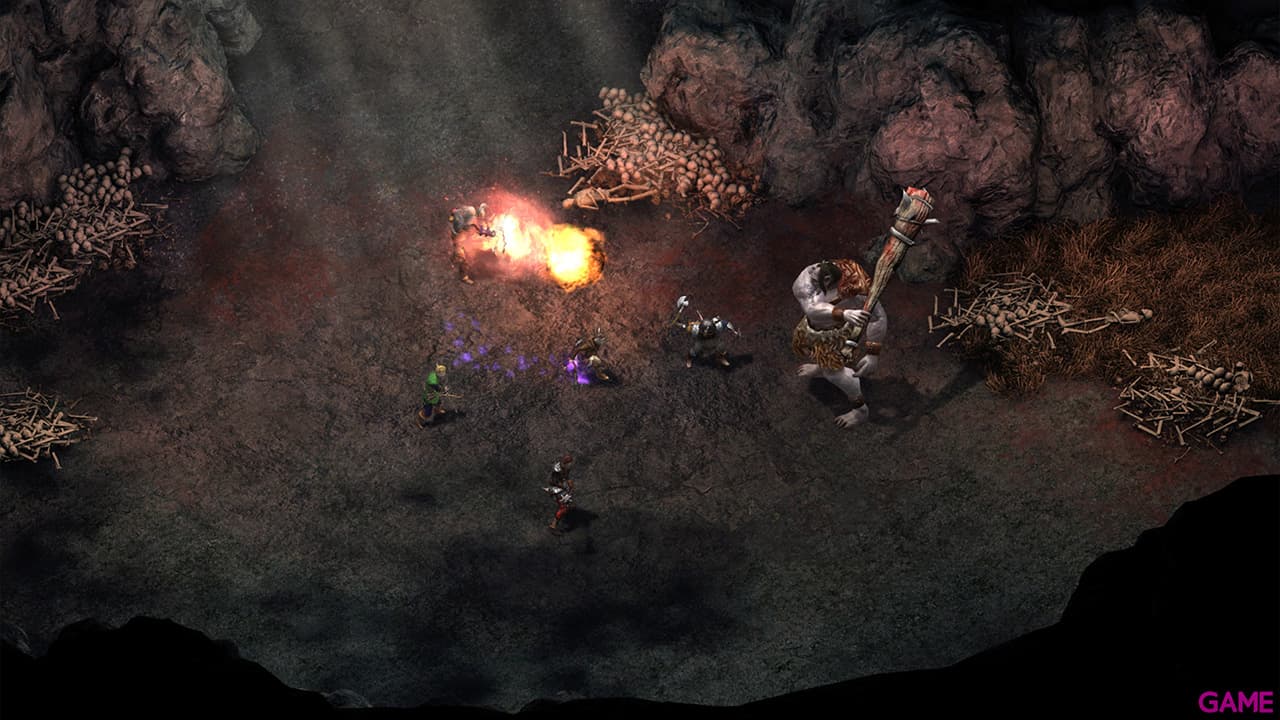 Pillars of Eternity Hero Edition