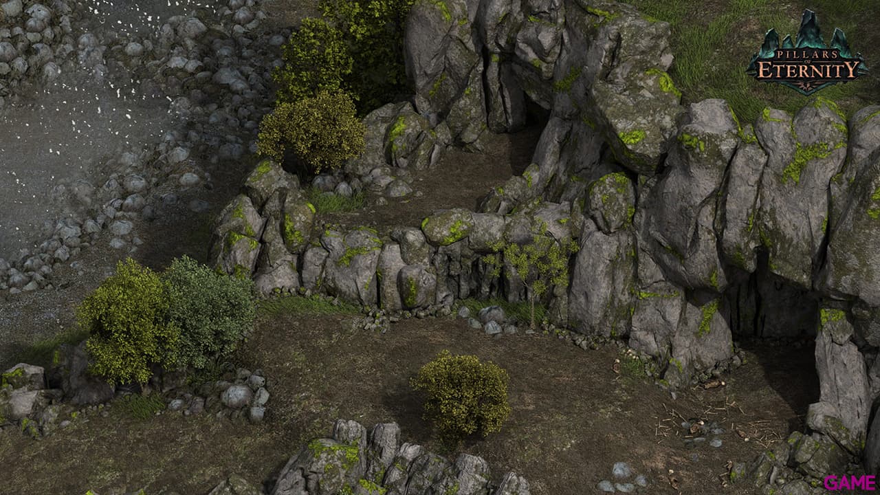 Pillars of Eternity Hero Edition