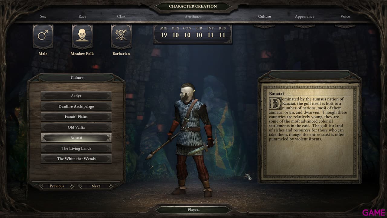 Pillars of Eternity Hero Edition