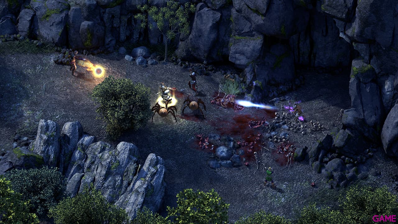 Pillars of Eternity Hero Edition
