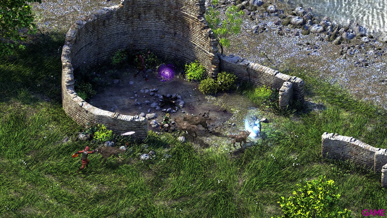 Pillars of Eternity Hero Edition