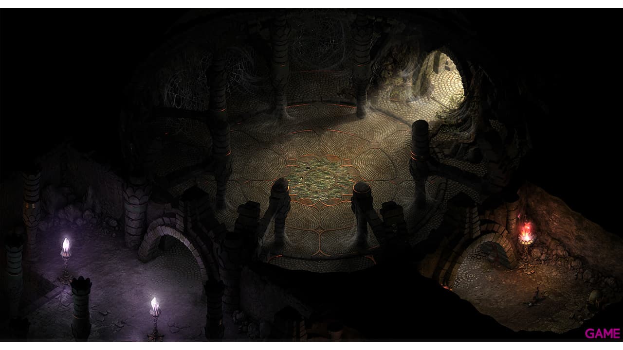 Pillars of Eternity Hero Edition