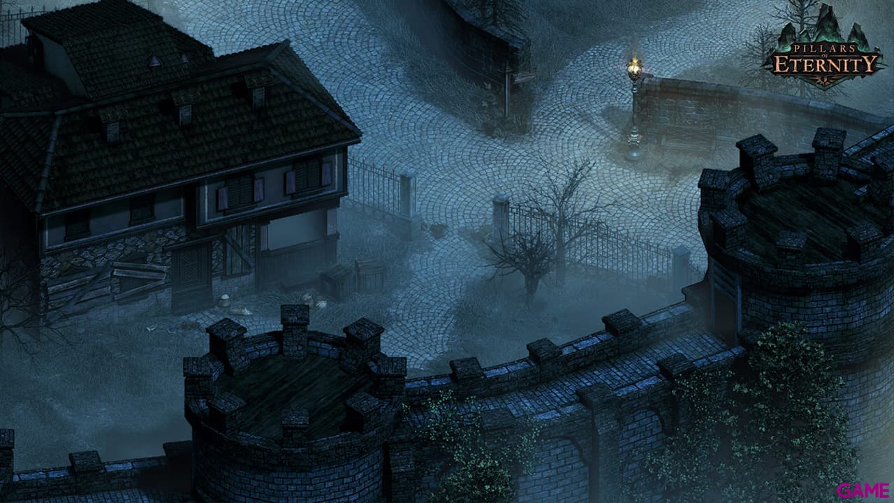 Pillars of Eternity Hero Edition