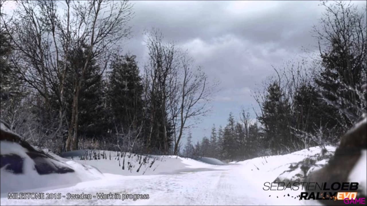Sebastien Loeb Rally Evo