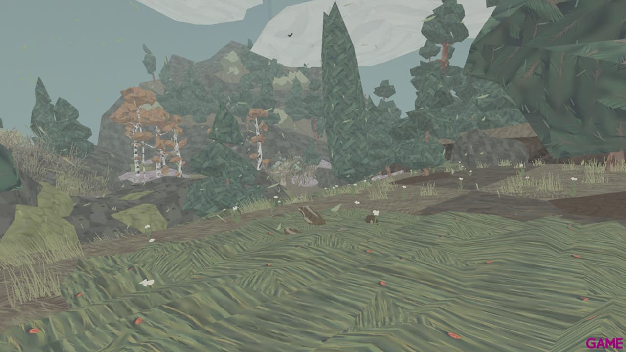Shelter 1