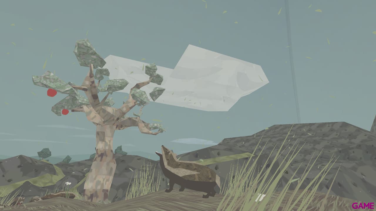 Shelter 1
