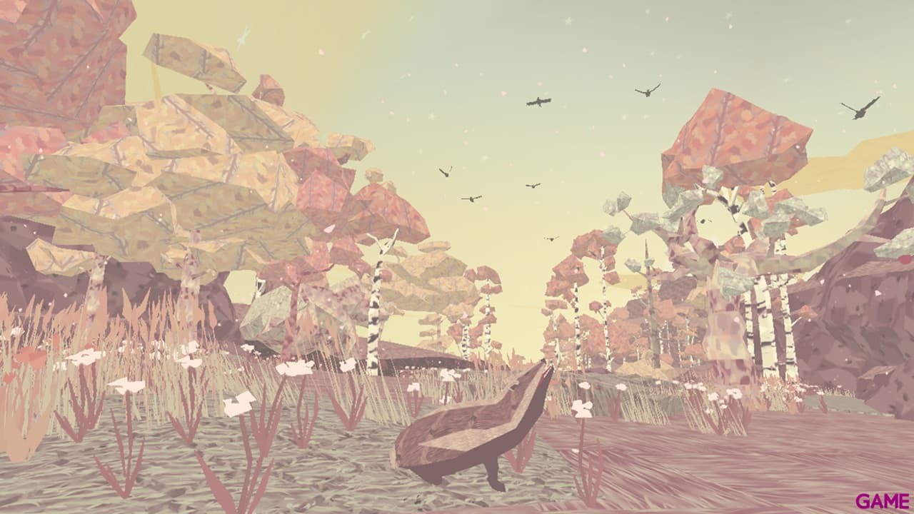 Shelter 1